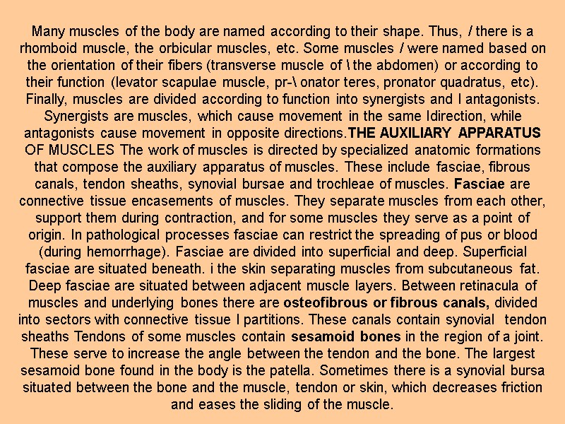 Many muscles of the body are named according to their shape. Thus, / there